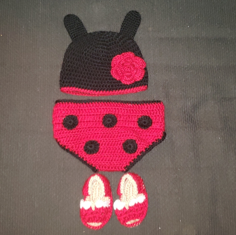 0-9 Month LadyBug Photos Shoot Baby Girl